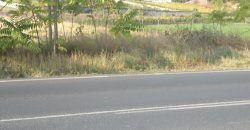 Парцел в регулация
