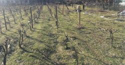 Продава къща около Сандански.