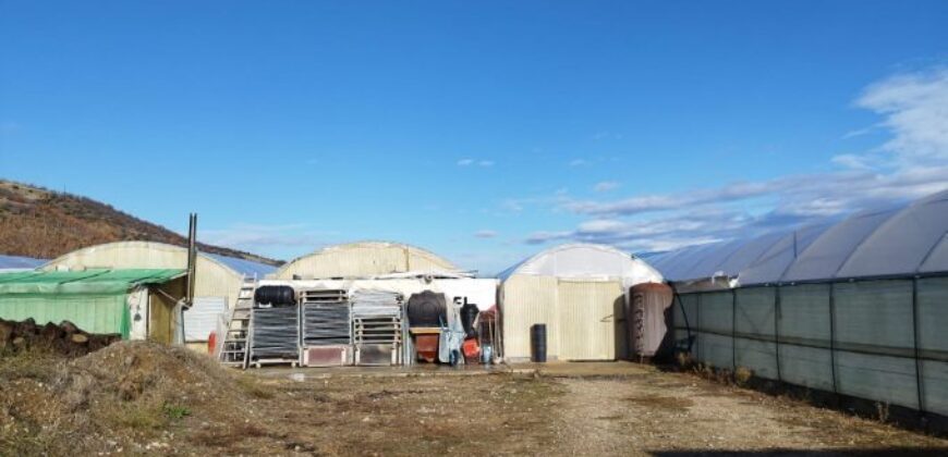 Оборудвана оранжерия в гр.Сандански
