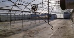 Оборудвана оранжерия в гр.Сандански