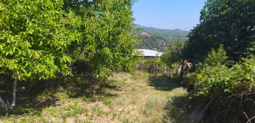 Продава къща в с.Цапарево