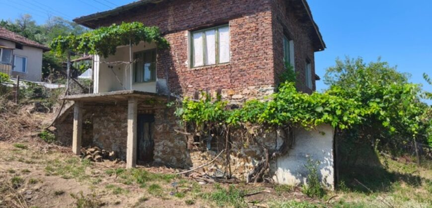 Продава къща в с.Цапарево