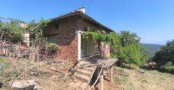 Продава къща в с.Цапарево