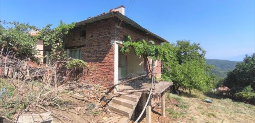 Продава къща в с.Цапарево