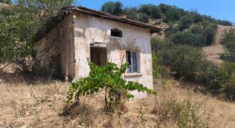 Продава голям парцел със стара къща в с. Каменица
