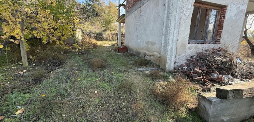 Едноетажна масивна къща с голям двор и лозе в община Петрич