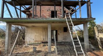 Одноэтажный капитальный дом с большим двором и виноградником в общине Петрич