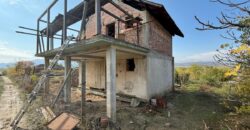 Едноетажна масивна къща с голям двор и лозе в община Петрич