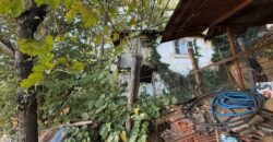 Одноэтажный капитальный дом с большим двором и виноградником в общине Петрич
