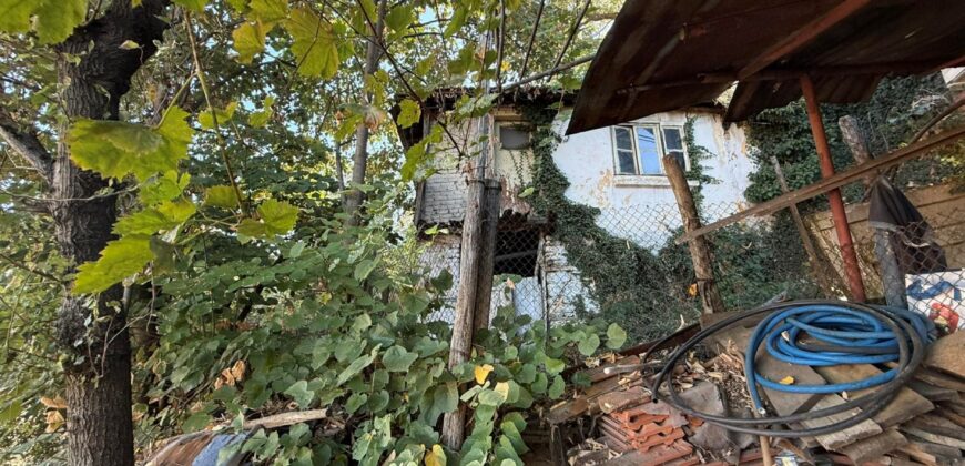 Едноетажна масивна къща с голям двор и лозе в община Петрич